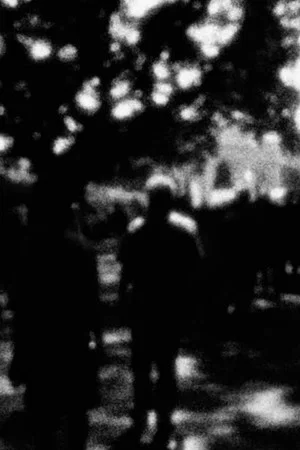 Постер: through a looking glass