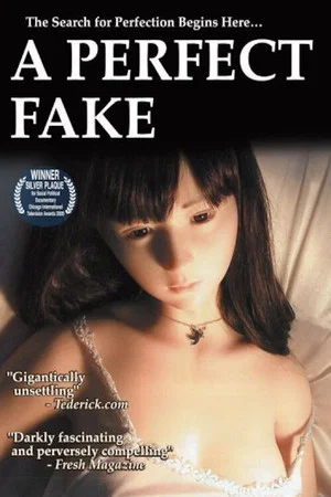 Постер: A Perfect Fake