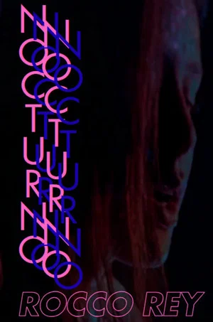 Постер: Trondheim Nocturno