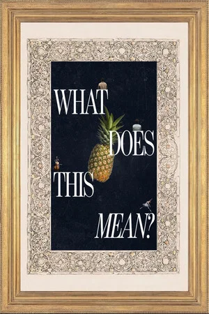 Постер: What Does This Mean?