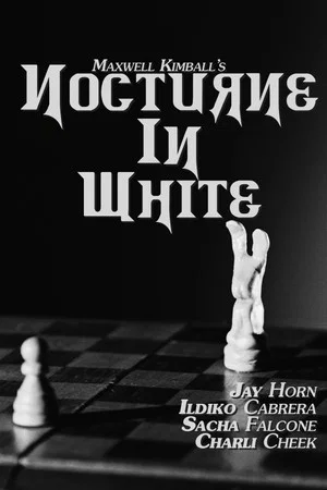 Постер: Nocturne in White