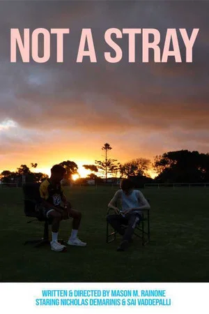 Постер: Not a Stray