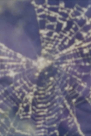 Постер: Worm and Web Love