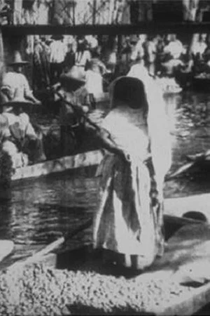 Постер: Marche Indien sur le canal de la Viga