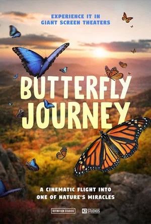 Постер: Butterfly Journey