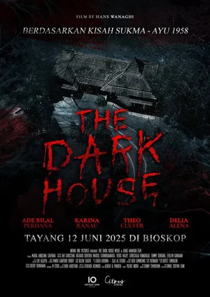 Постер: The Dark House