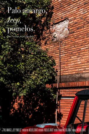 Постер: Palo Amargo, Jeep, Grapefruits