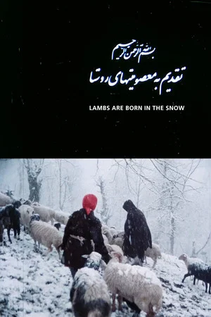 Постер: Lambs Are Born in the Snow