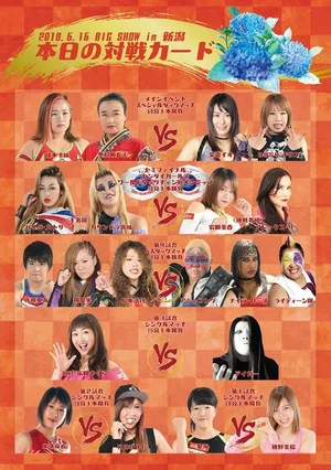 Постер: Sendai Girls Joshi Puroresu Big Show 2018 In Niigata
