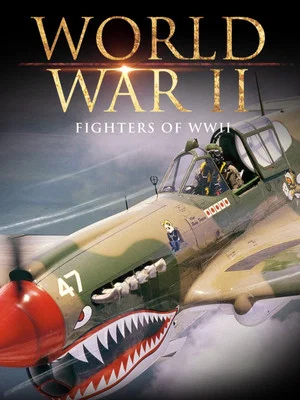 Постер: Fighters of WWII