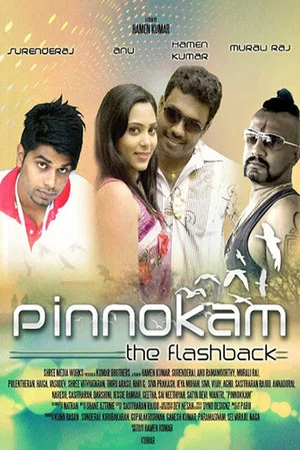 Постер: Pinnokam