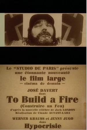 Постер: To Build a Fire