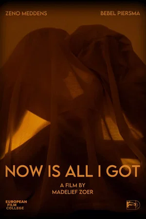 Постер: Now Is All I Got