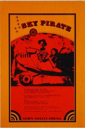 Постер: The Sky Pirate