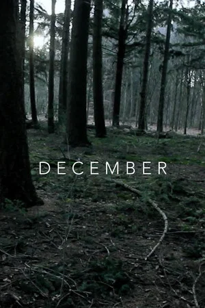 Постер: December