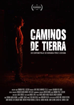 Постер: Caminos de tierra