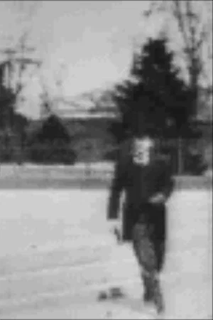 Постер: Theodore Roosevelt Leaving the White House
