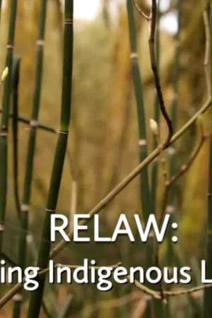 Постер: RELAW: Living Indigenous Laws