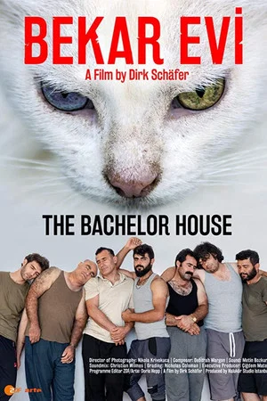Постер: The Bachelor House