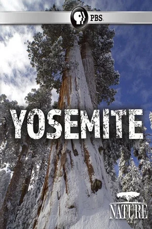 Постер: Nature: Yosemite