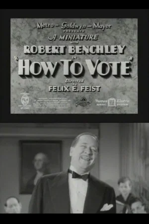 Постер: How to Vote