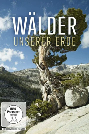 Постер: Wälder unserer Erde
