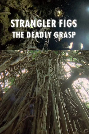 Постер: Strangler Figs: The Deadly Grasp