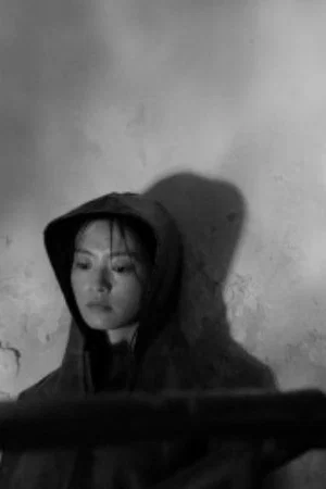 Постер: Who is Sleeping in Silver Grey