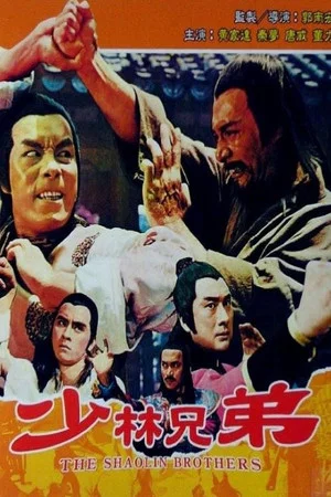 Постер: The Shaolin Brothers