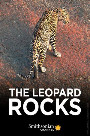 Постер: The Leopard Rocks