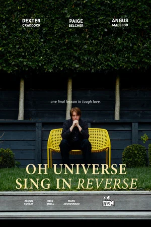 Постер: Oh Universe Sing in Reverse