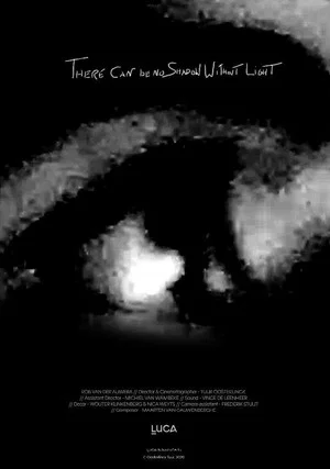 Постер: There can be no Shadow Without Light