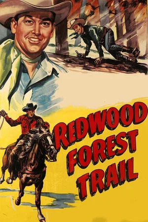 Постер: Redwood Forest Trail