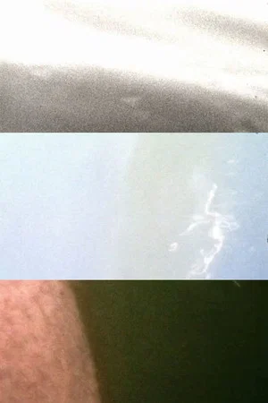 Постер: Images of Water