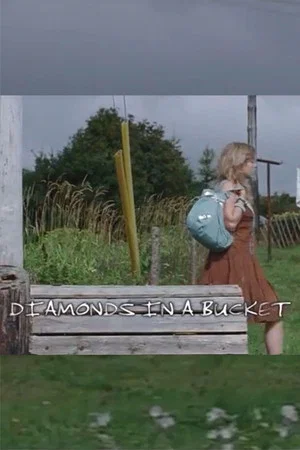 Постер: Diamonds in a Bucket