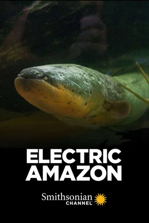 Постер: Electric Amazon