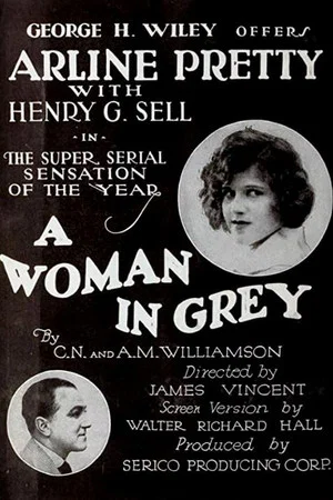 Постер: A Woman in Grey