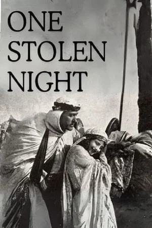 Постер: One Stolen Night
