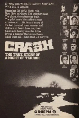 Постер: The Crash of Flight 401