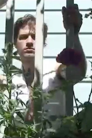 Постер: Sunkissed