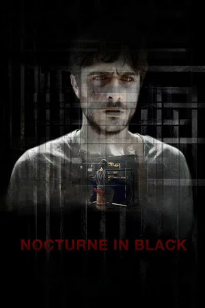 Постер: Nocturne in Black