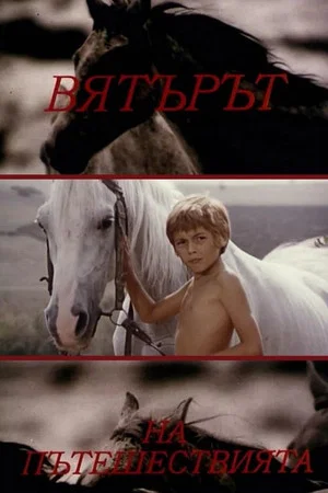 Постер: Tail Wind