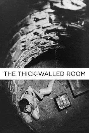 Постер: The Thick-Walled Room