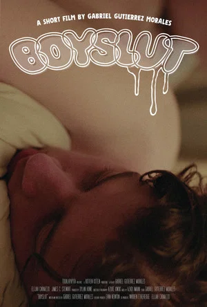 Постер: Boyslut