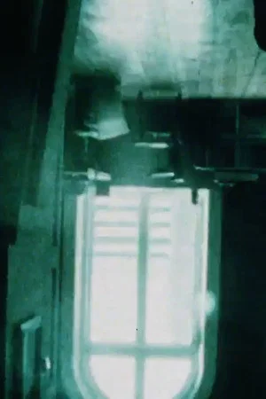 Постер: Variant