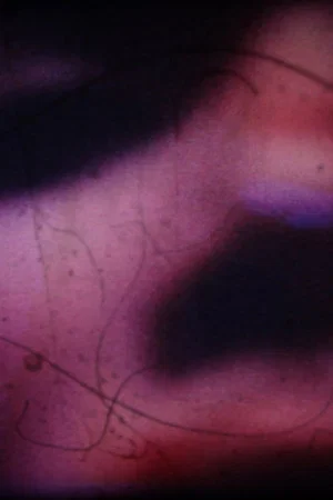 Постер: Errances