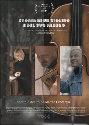 Постер: Storia di un violino e del suo albero