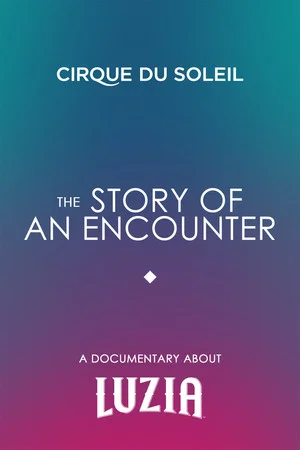 Постер: The Story Of An Encounter