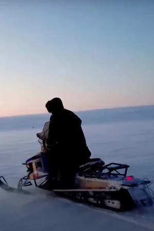 Постер: Tundra Busters