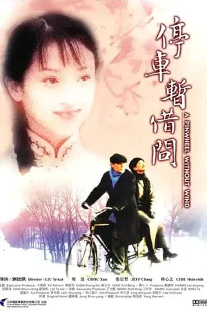 Постер: A Pinwheel Without Wind